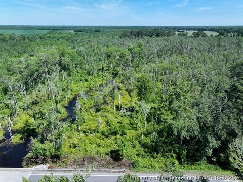 Tiny photo for Yarborough Road, Parkton, NC 28371 (MLS # 764962)