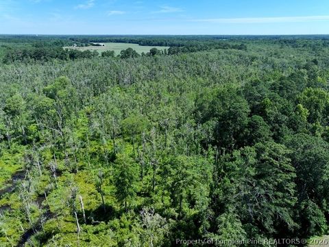 Tiny photo for Yarborough Road, Parkton, NC 28371 (MLS # 764962)