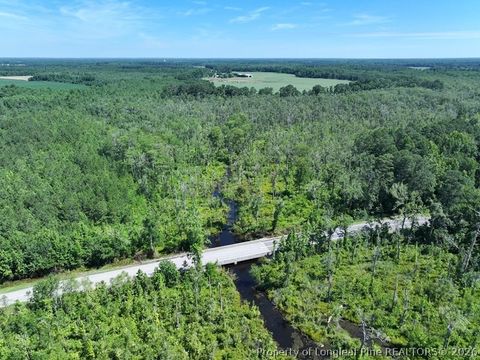 Tiny photo for Yarborough Road, Parkton, NC 28371 (MLS # 764962)