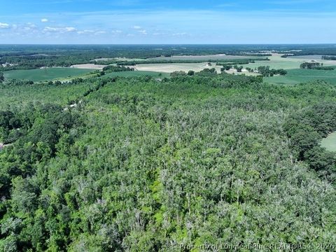 Tiny photo for Yarborough Road, Parkton, NC 28371 (MLS # 764962)
