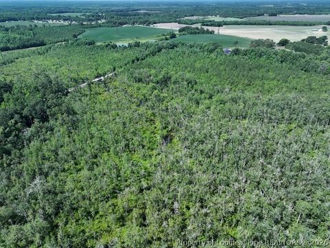 Tiny photo for Yarborough Road, Parkton, NC 28371 (MLS # 764962)
