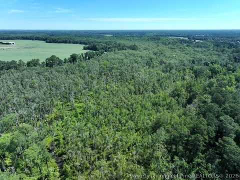 Tiny photo for Yarborough Road, Parkton, NC 28371 (MLS # 764962)