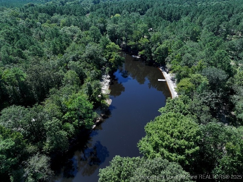 1601 Black River Lane