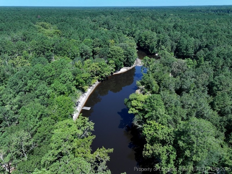 1601 Black River Lane