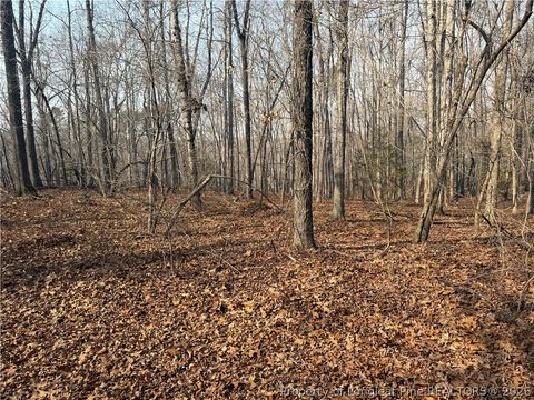 Photo of 15b Winners Circ Lane, Carthage, NC 28327 (MLS # 758207)