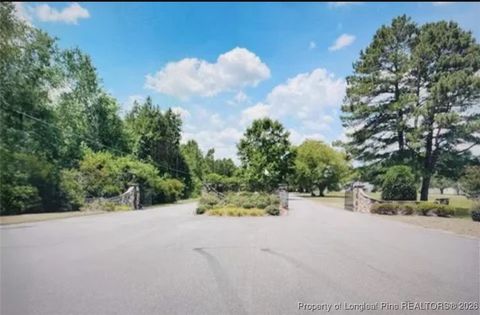 Tiny photo for 4220 Final Approach Drive, Eastover, NC 28312 (MLS # 755277)