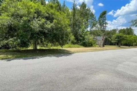 Tiny photo for 4220 Final Approach Drive, Eastover, NC 28312 (MLS # 755277)