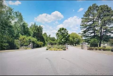 Tiny photo for 4220 Final Approach Drive, Eastover, NC 28312 (MLS # 755277)