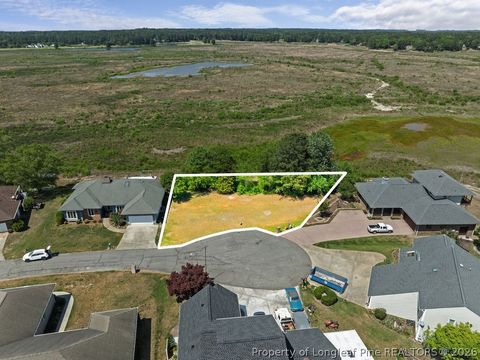 Photo of 873 Castleberry Court, Vass, NC 28394 (MLS # 761298)