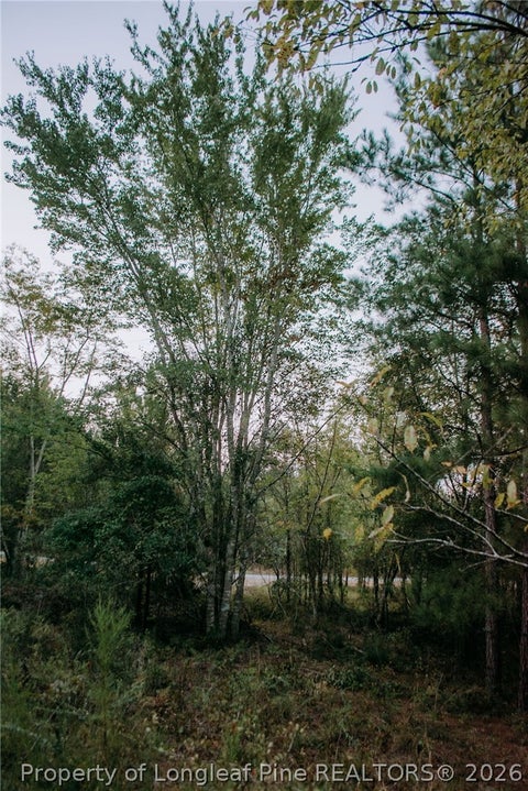 Photo of Lot 3-TBD Nighthawk Loop, Aberdeen, NC 28315 (MLS # 769779)