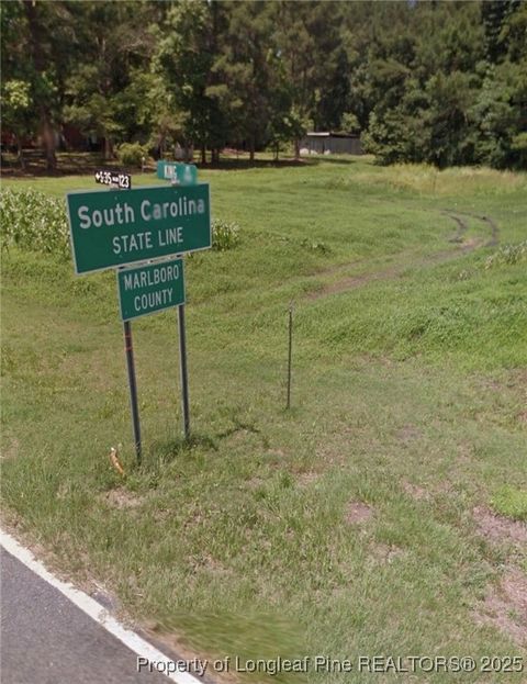 Tiny photo for 10660 OLD STAGE Road, Gibson, NC 28343 (MLS # 754904)