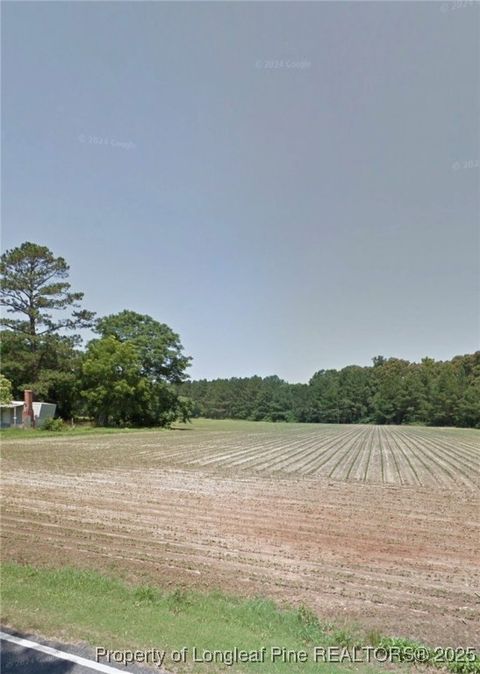 Tiny photo for 10660 OLD STAGE Road, Gibson, NC 28343 (MLS # 754904)