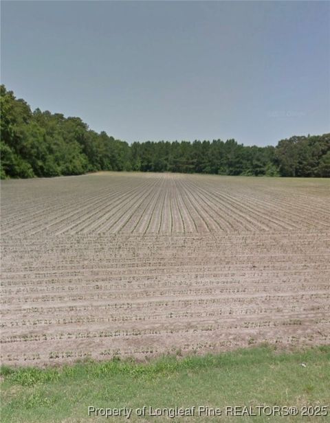 Tiny photo for 10660 OLD STAGE Road, Gibson, NC 28343 (MLS # 754904)