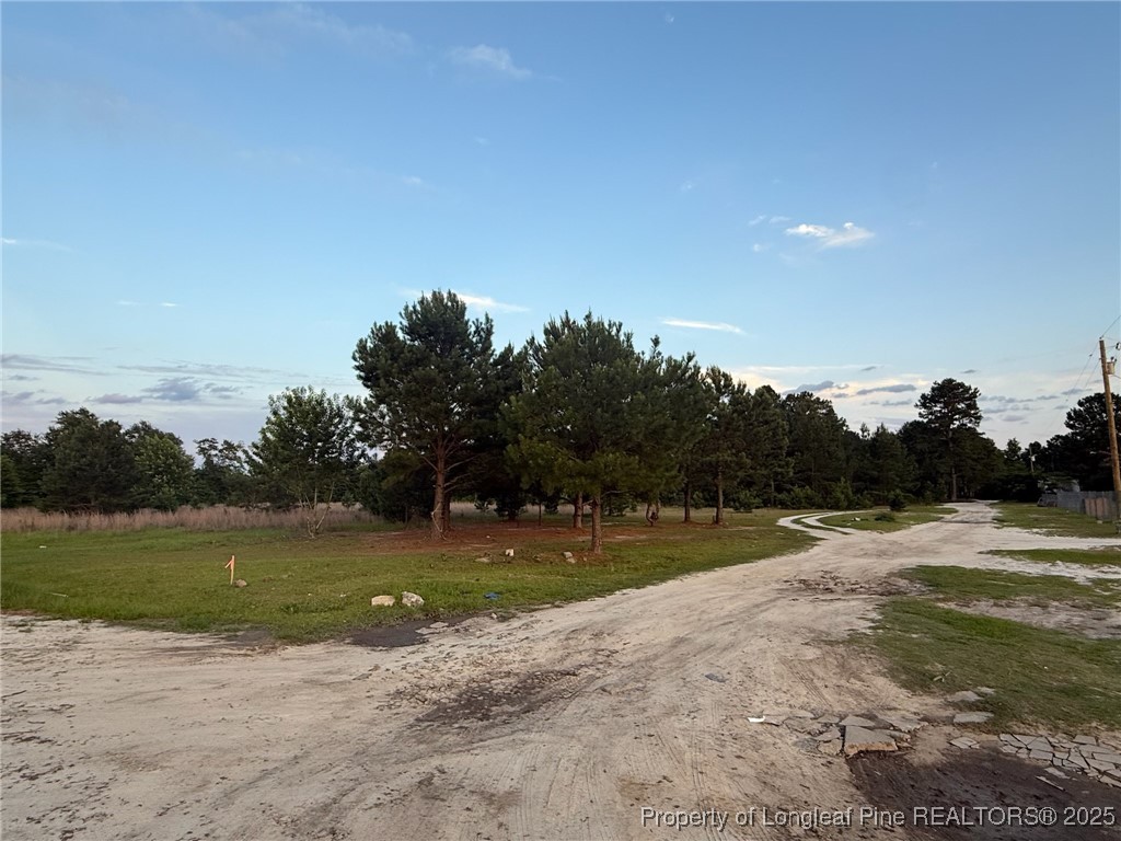 Blue Springs LOT 1-2 Road