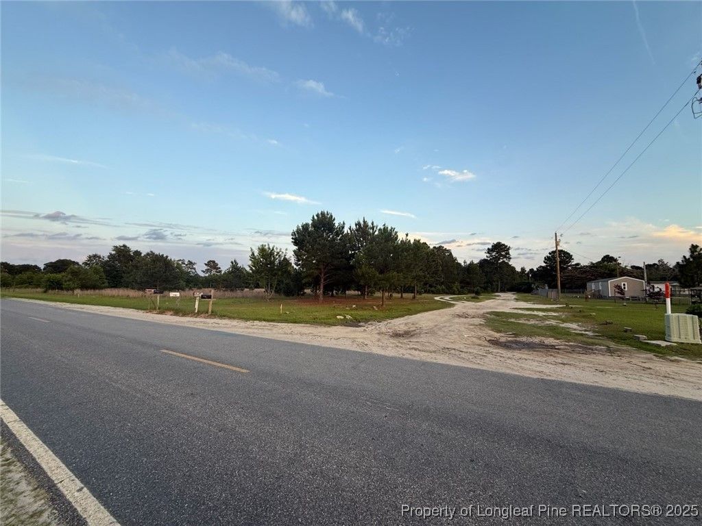 Photo of Blue Springs LOT 1-2 Road, Raeford, NC 28377 (MLS # 744622)