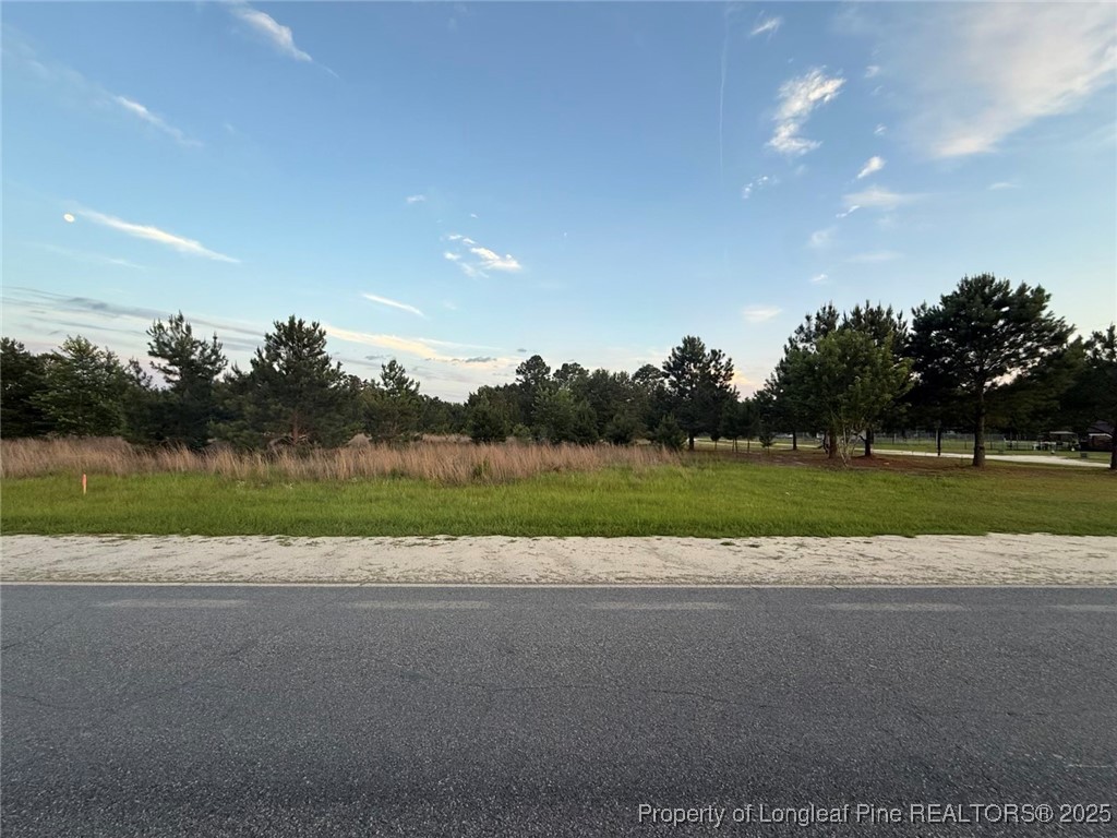 Blue Springs LOT 1-2 Road