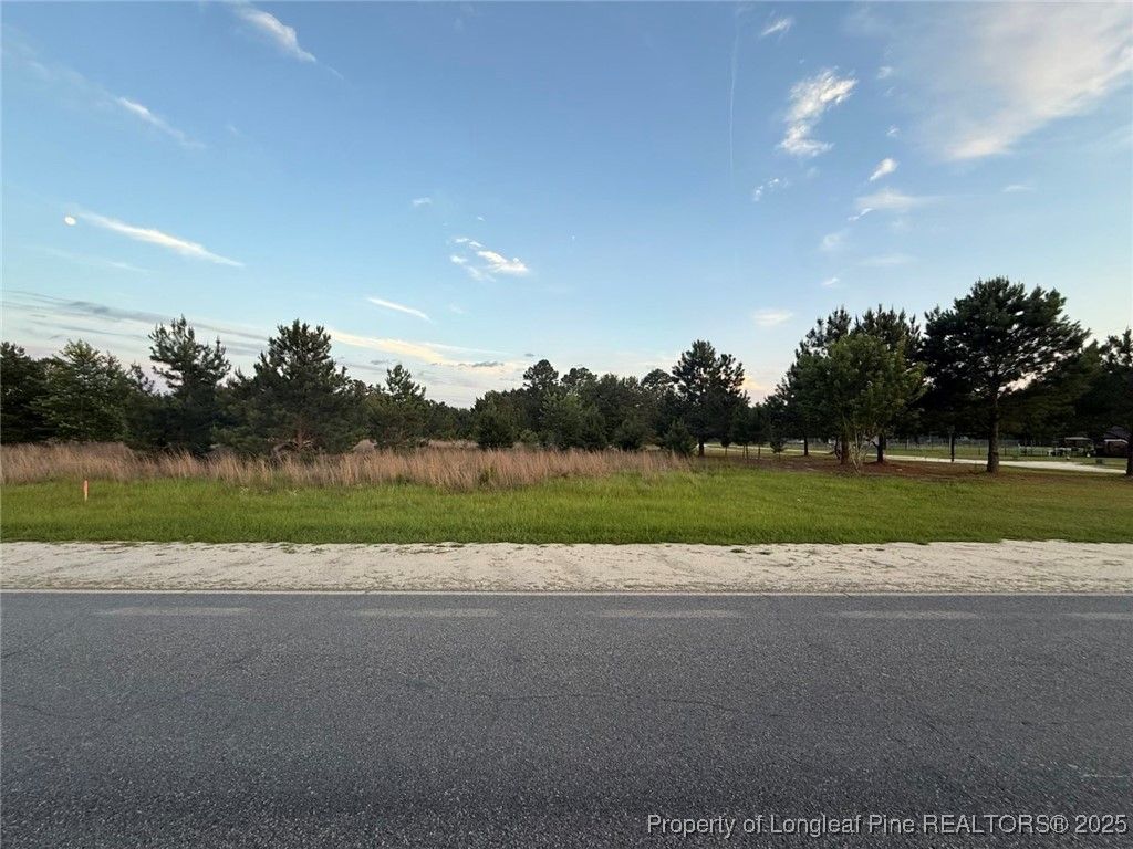 Photo of Blue Springs LOT 1-2 Road, Raeford, NC 28377 (MLS # 744622)