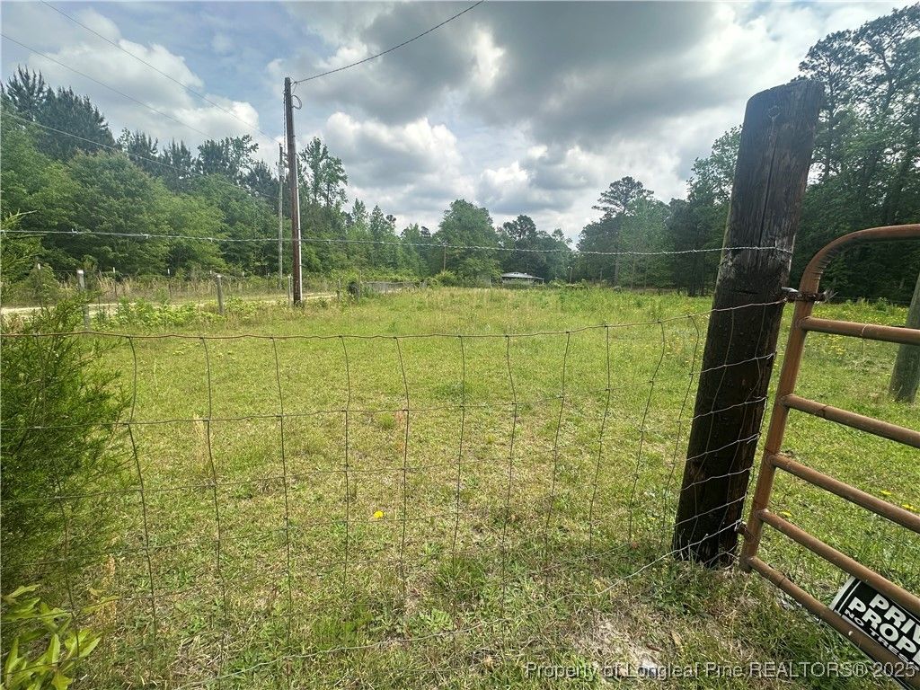 Photo of 5313 Delores Drive, Hope Mills, NC 28348 (MLS # 742686)