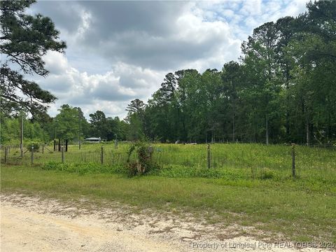 Tiny photo for 5313 Delores Drive, Hope Mills, NC 28348 (MLS # 742686)