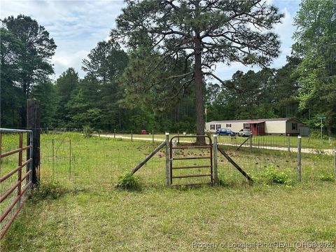 Tiny photo for 5313 Delores Drive, Hope Mills, NC 28348 (MLS # 742686)