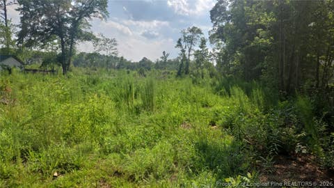 Photo of 5184 Hummingbird Place, Fayetteville, NC 28312 (MLS # 767415)