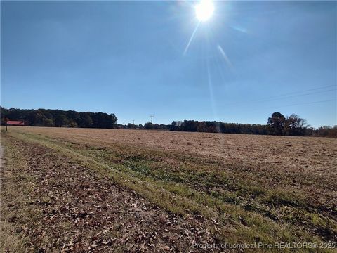 Tiny photo for 0 Castleberry Road, Sanford, NC 27332 (MLS # 754287)