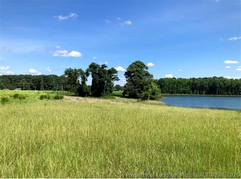 Photo of 0 Castleberry Road, Sanford, NC 27332 (MLS # 754287)