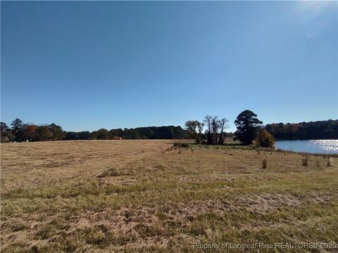 Tiny photo for 0 Castleberry Road, Sanford, NC 27332 (MLS # 754287)