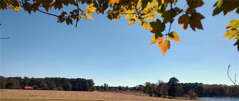 Photo of 0 Castleberry Road, Sanford, NC 27332 (MLS # 754287)