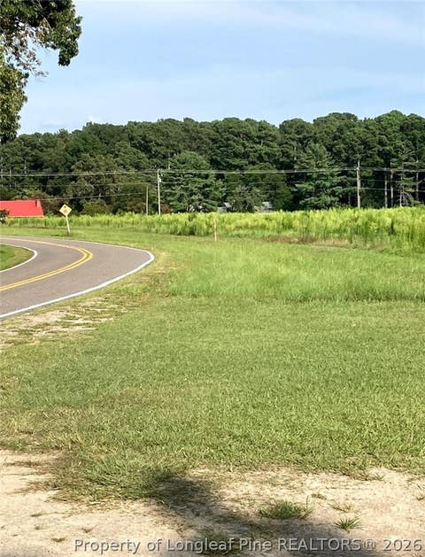 Tiny photo for 0 Castleberry Road, Sanford, NC 27332 (MLS # 754287)