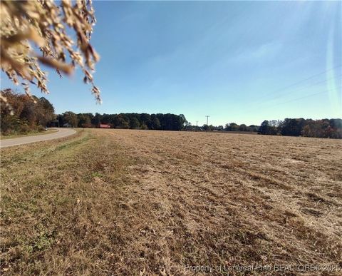 Tiny photo for 0 Castleberry Road, Sanford, NC 27332 (MLS # 754287)
