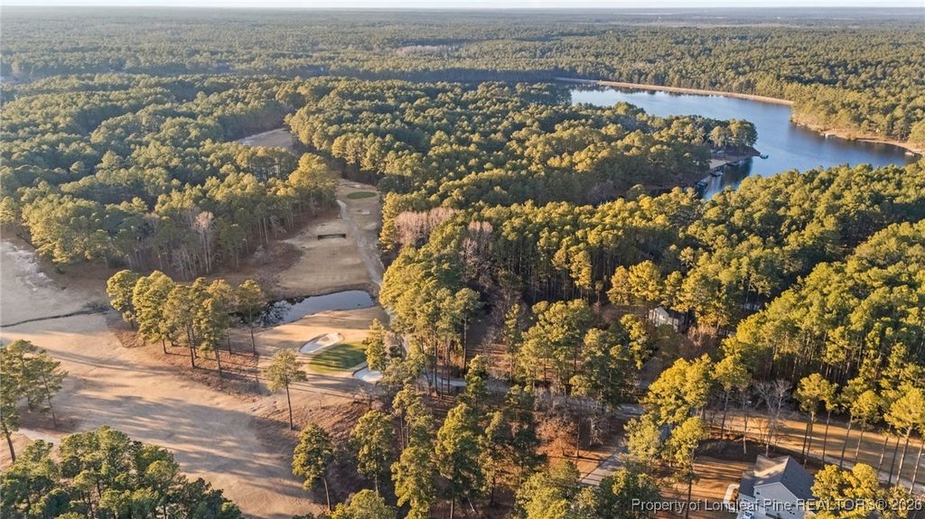Photo of 30181 East Lake Road, Wagram, NC 28396 (MLS # 756340)