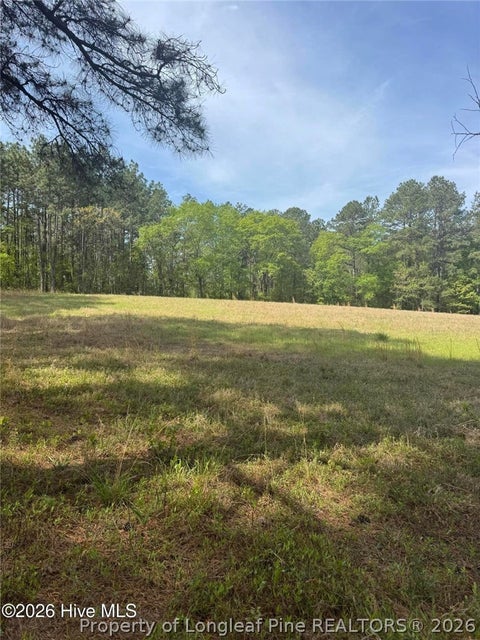 Tiny photo for 490 Springhill Church Road, Hamlet, NC 28345 (MLS # 768978)