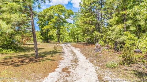 Tiny photo for 490 Springhill Church Road, Hamlet, NC 28345 (MLS # 768978)