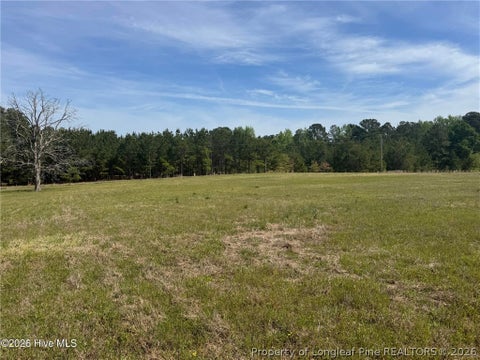 Tiny photo for 490 Springhill Church Road, Hamlet, NC 28345 (MLS # 768978)