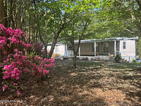 Tiny photo for 490 Springhill Church Road, Hamlet, NC 28345 (MLS # 768978)