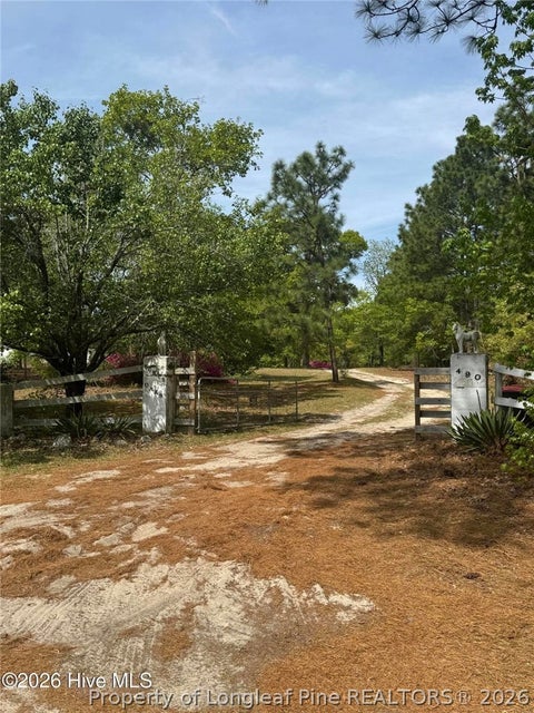 Tiny photo for 490 Springhill Church Road, Hamlet, NC 28345 (MLS # 768978)