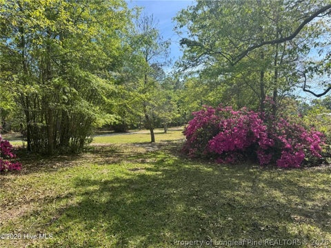 Tiny photo for 490 Springhill Church Road, Hamlet, NC 28345 (MLS # 768978)