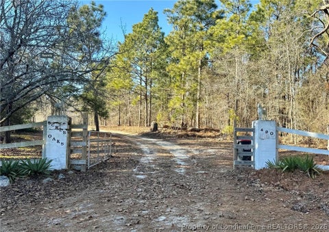 Photo of 490 Springhill Church Road, Hamlet, NC 28345 (MLS # 768978)