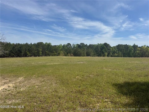 Tiny photo for 490 Springhill Church Road, Hamlet, NC 28345 (MLS # 768978)