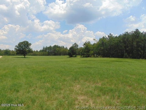 Tiny photo for 490 Springhill Church Road, Hamlet, NC 28345 (MLS # 768978)