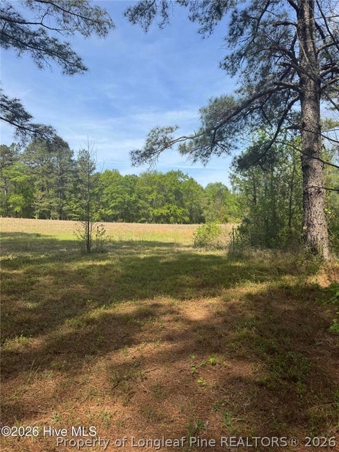 Tiny photo for 490 Springhill Church Road, Hamlet, NC 28345 (MLS # 768978)