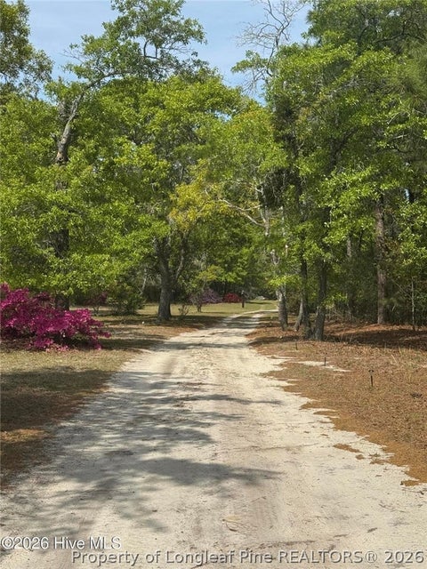 Tiny photo for 490 Springhill Church Road, Hamlet, NC 28345 (MLS # 768978)