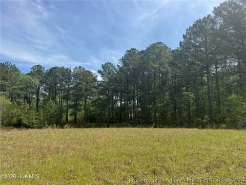 Tiny photo for 490 Springhill Church Road, Hamlet, NC 28345 (MLS # 768978)