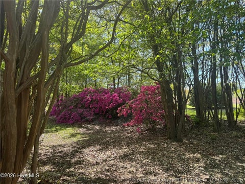 Tiny photo for 490 Springhill Church Road, Hamlet, NC 28345 (MLS # 768978)
