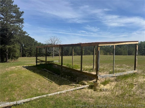Tiny photo for 490 Springhill Church Road, Hamlet, NC 28345 (MLS # 768978)