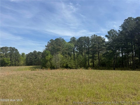 Tiny photo for 490 Springhill Church Road, Hamlet, NC 28345 (MLS # 768978)