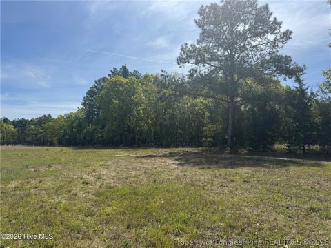 Tiny photo for 490 Springhill Church Road, Hamlet, NC 28345 (MLS # 768978)