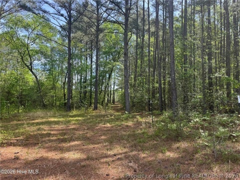 Tiny photo for 490 Springhill Church Road, Hamlet, NC 28345 (MLS # 768978)