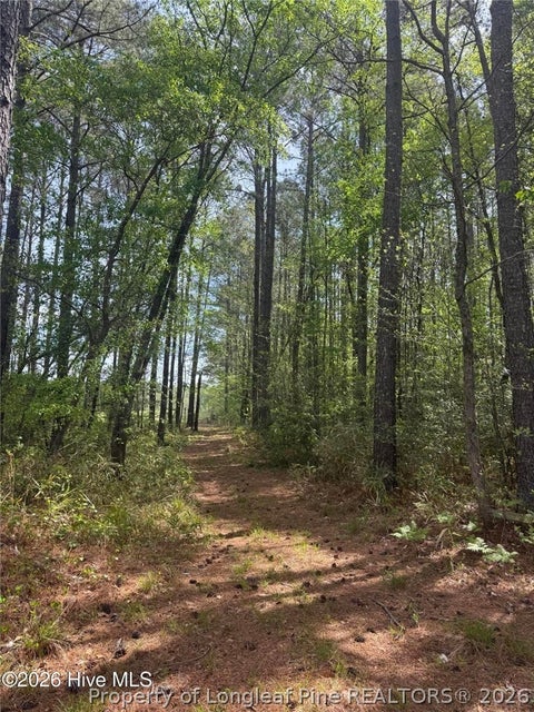 Tiny photo for 490 Springhill Church Road, Hamlet, NC 28345 (MLS # 768978)